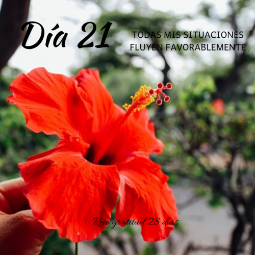 Reto gratitud Kimicor febrero dia 21