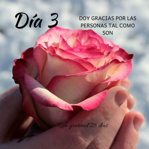 Reto gratitud Kimicor febrero dia 3