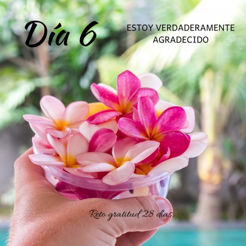 Reto gratitud Kimicor febrero dia 6