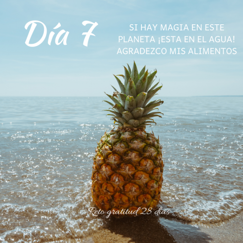 Reto gratitud Kimicor febrero dia 7