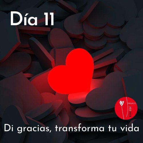 Di gracias, transforma tu vida dia 11 Kimicor