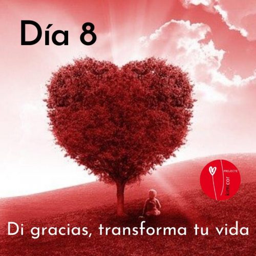 Di gracias, transforma tu vida dia