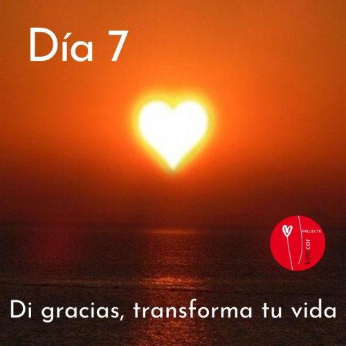 Di gracias, transforma tu vida dia 7