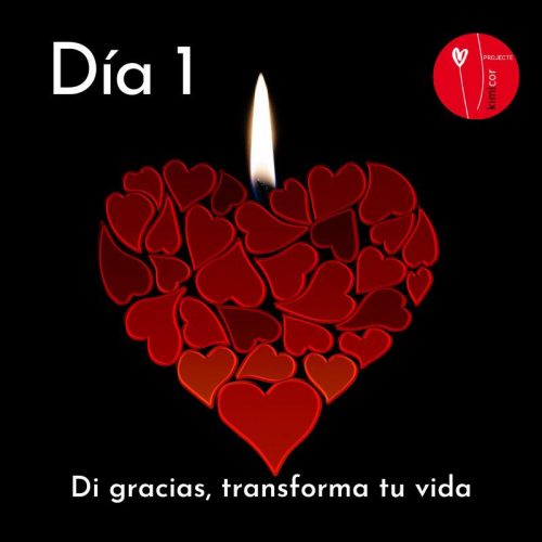 Di gracias, transforma tu vida día 1