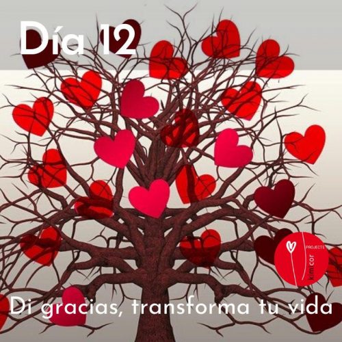 Di gracias transforma tu vida dia 12 Kimicor