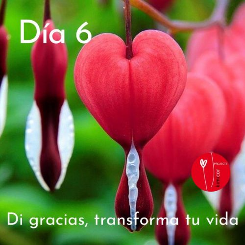 Di gracias, transforma tu vida día 6