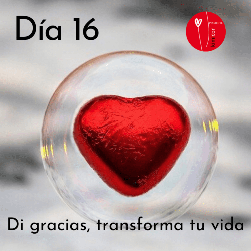 Dia 16 - di gracias, transforma tu vida KIMICOR