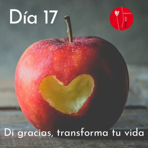 Dia 17 - di gracias, transforma tu vida