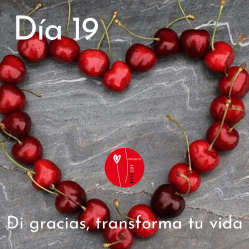 Dia 19 - di gracias, transforma tu vida