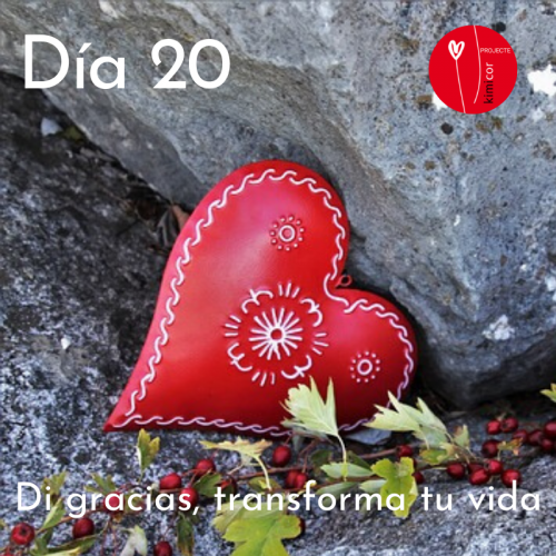 Dia 20 - di gracias, transforma tu vida Kimicor